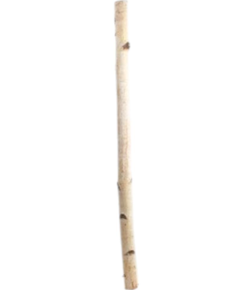 Birch Pole 8'