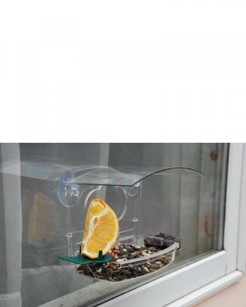 Audubon Window Treat Feeder