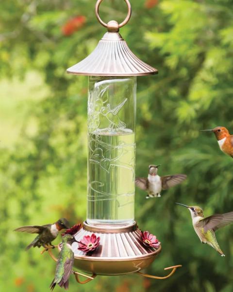 Embossed Glass H/bird Feeder