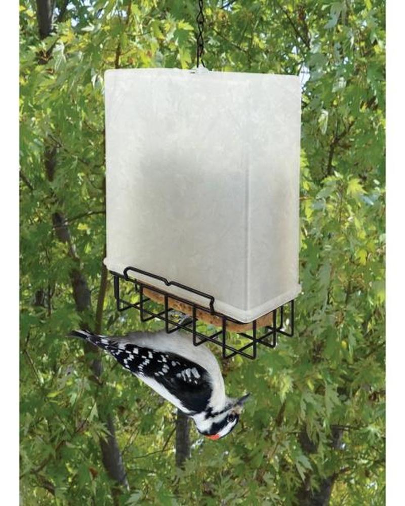 Suet Saver Suet Feeder