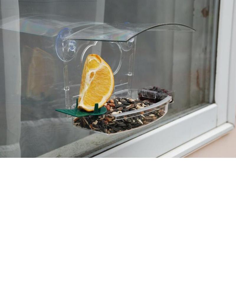 Audubon Window Treat Feeder