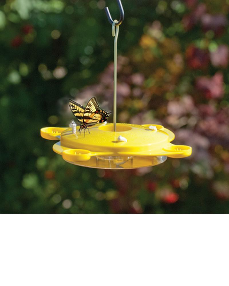 Butterfly Feeder 12 Oz