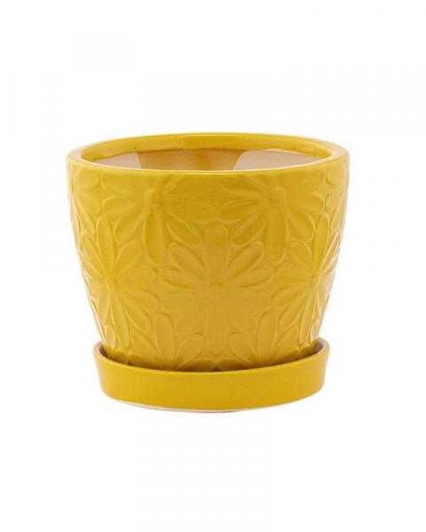 Daisy Pot W/saucer 4.5" Yellow