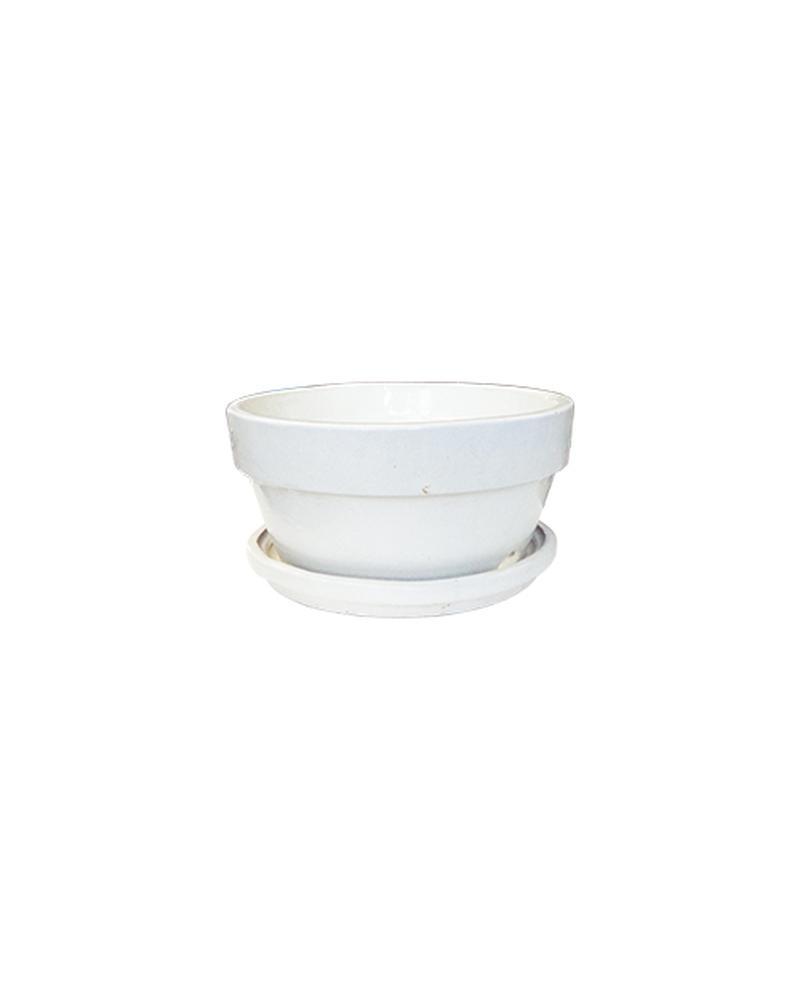 Bulb Pan 8" Gvg