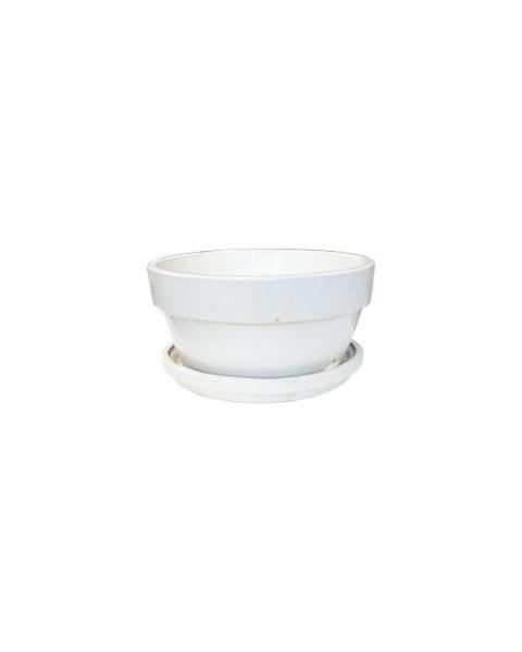 Bulb Pan 10" Gvg