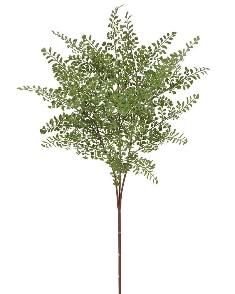 Maidenhair Fern Spray 32" Green