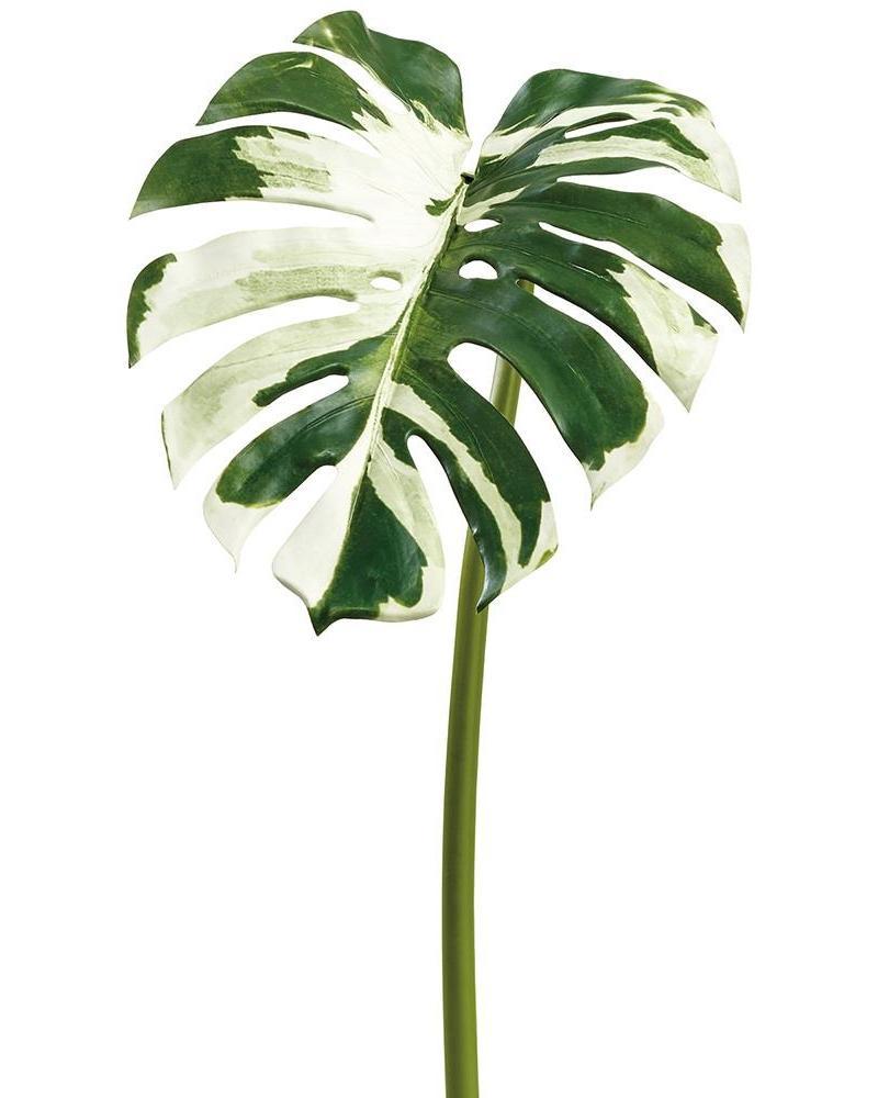 Monstera Leaf Spray 44" Gr/cr