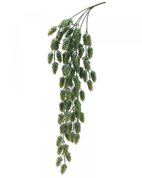 Hops Hanging Bush X5 30.5" Gr/fs