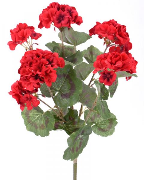18" Geranium Bush X7 Red
