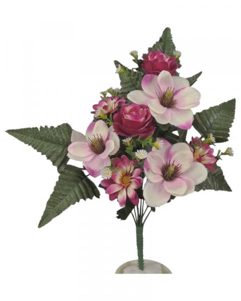 Magnolia Rose Daisy 1/2 Bush Pink