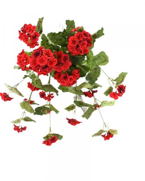Geranium Hanging Bush 22" Red