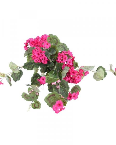 Geranium Hanging Bush 22" Mag