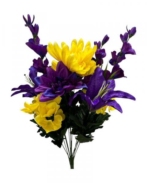 Mum Lily Hydrangea Bush 23" Purple/Yellow