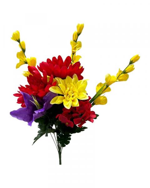 Mum Lily Hydrangea Bush 23" Red/Purple/Yellow