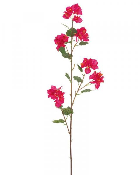 Bougainvillea Branch 48" Bt