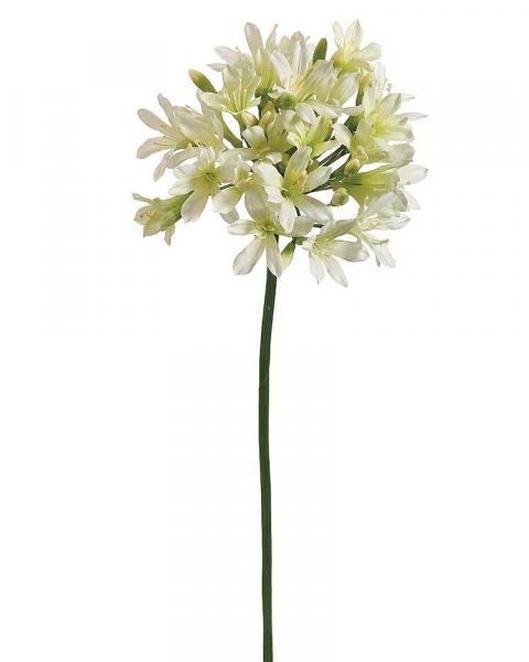 Agapanthus Spray 35" Cr