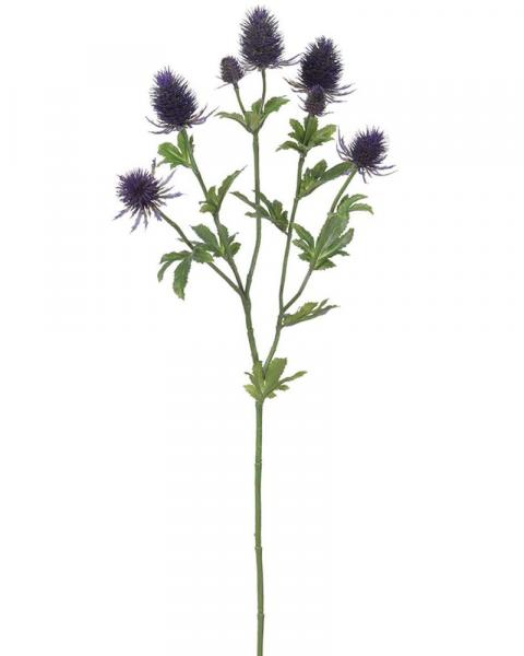 Thistle Spray 28" Pu