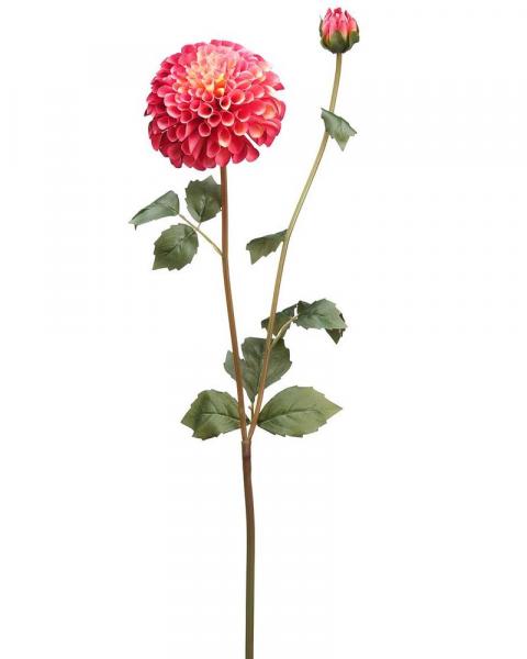 Dahlia Spray 31" Ro/tt