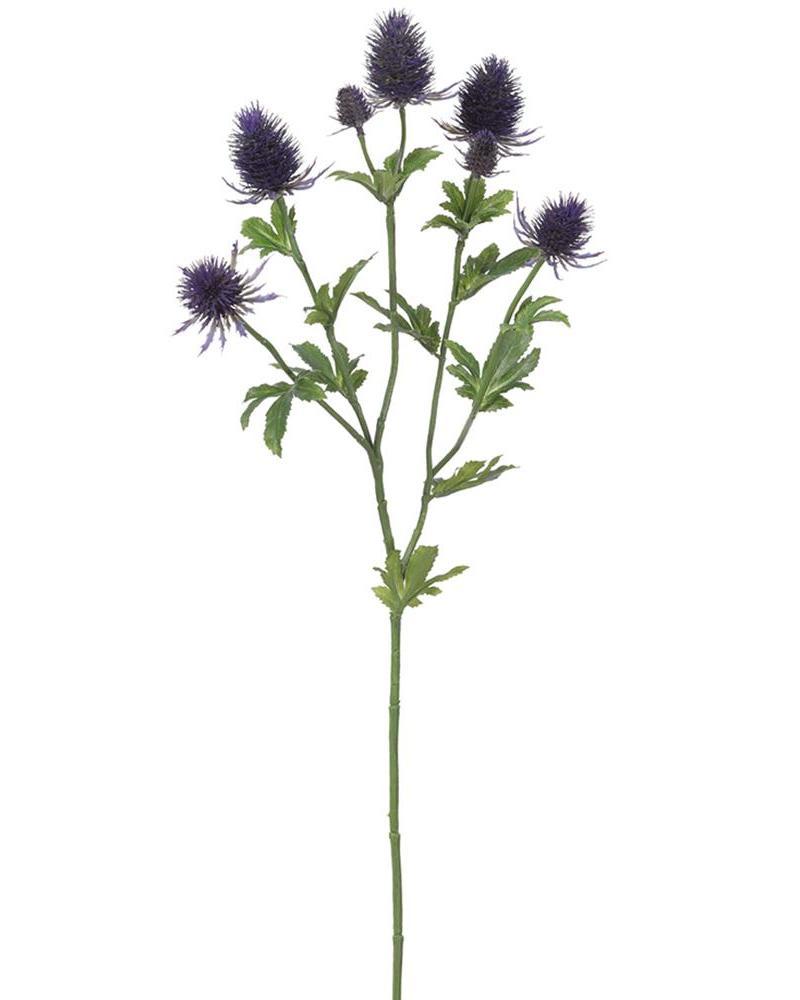 Thistle Spray 28" Pu