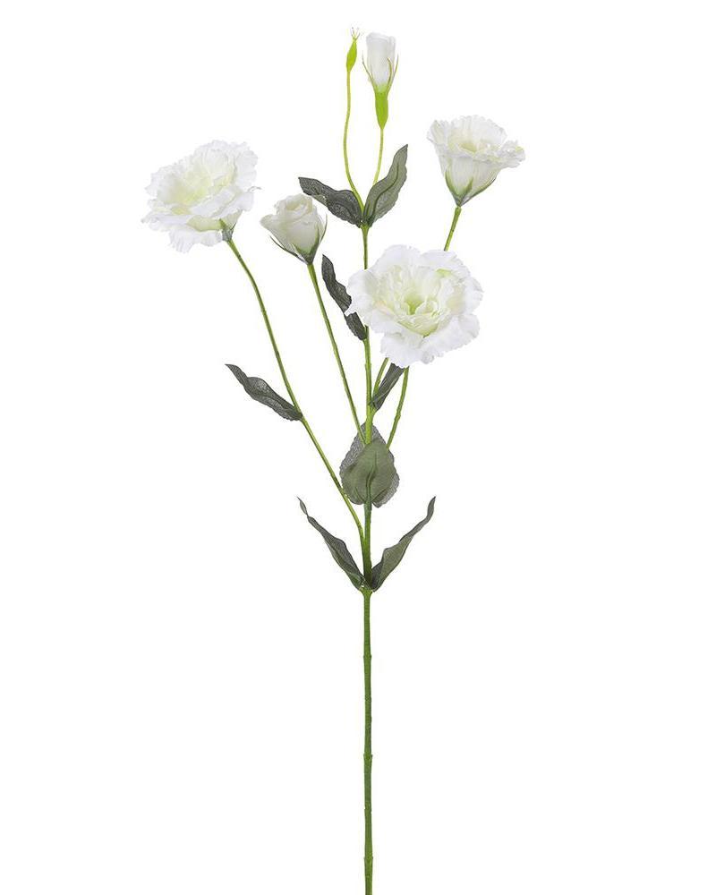Lisianthus Spray 29" White