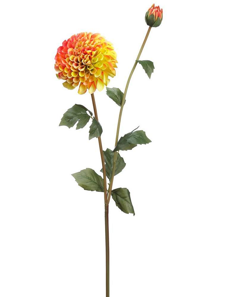 Dahlia Spray 31" Ss