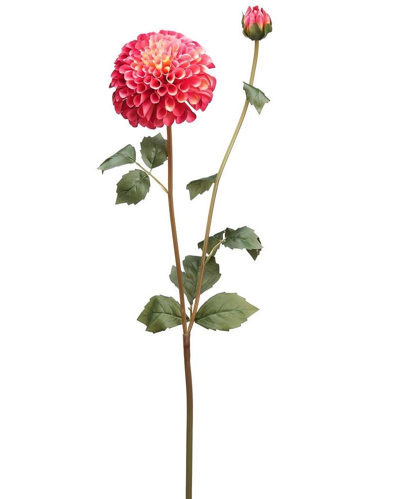 Dahlia Spray 31" Ro/tt