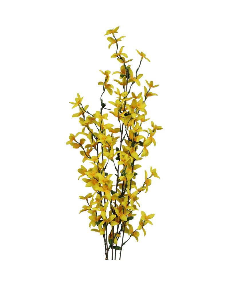 Forsythia Bush Yellow