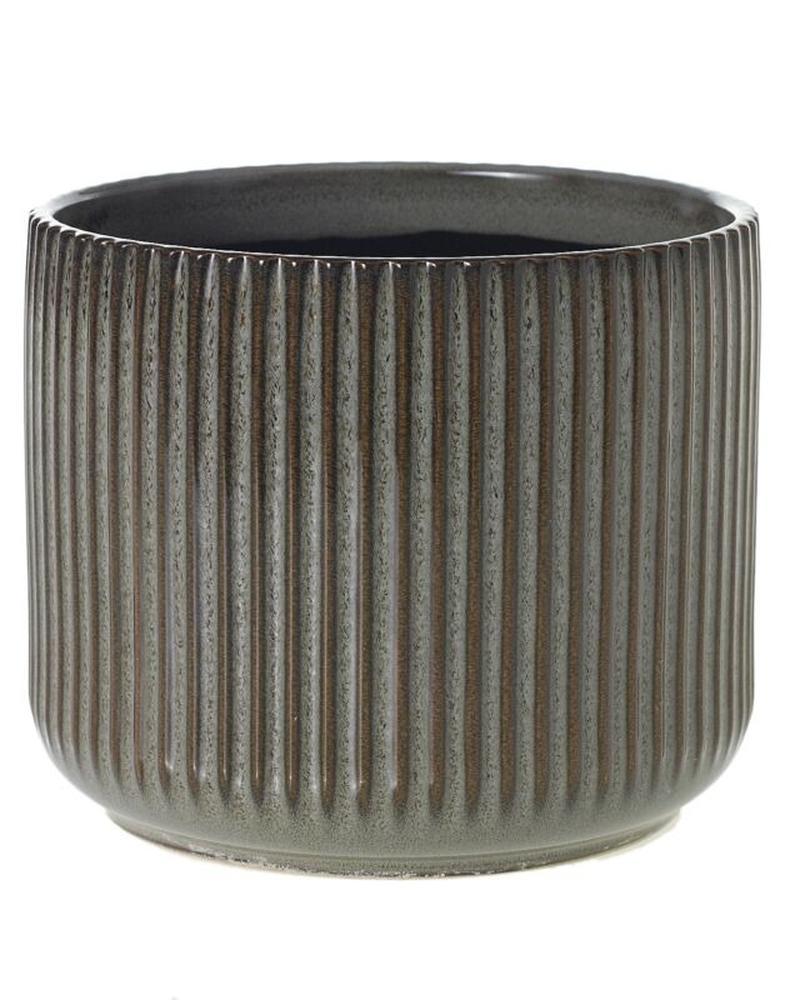 Habitat Pot 6.75x5.75"