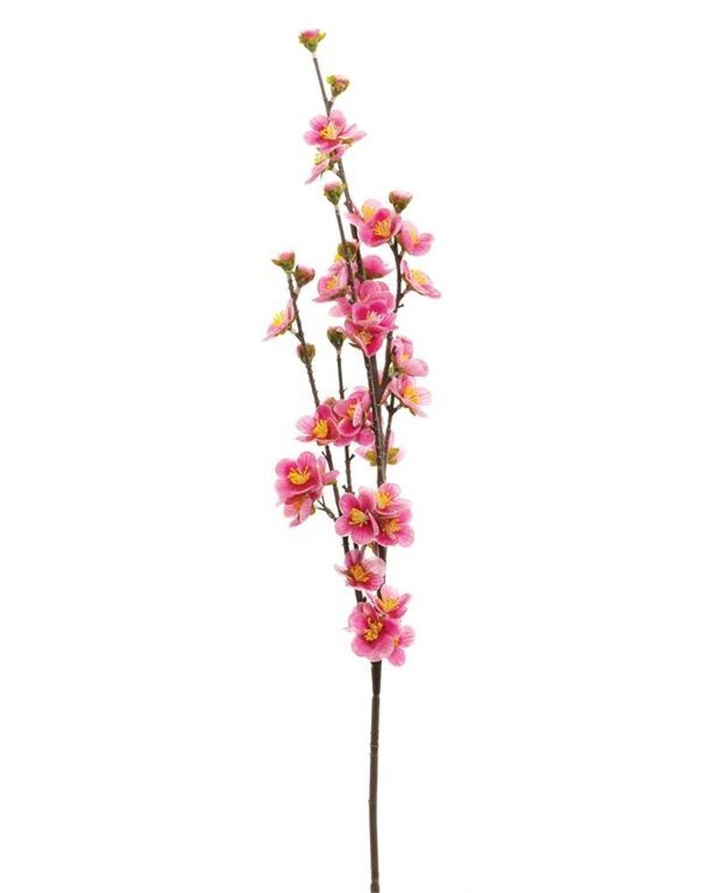 Peach Blossom 32" Magenta