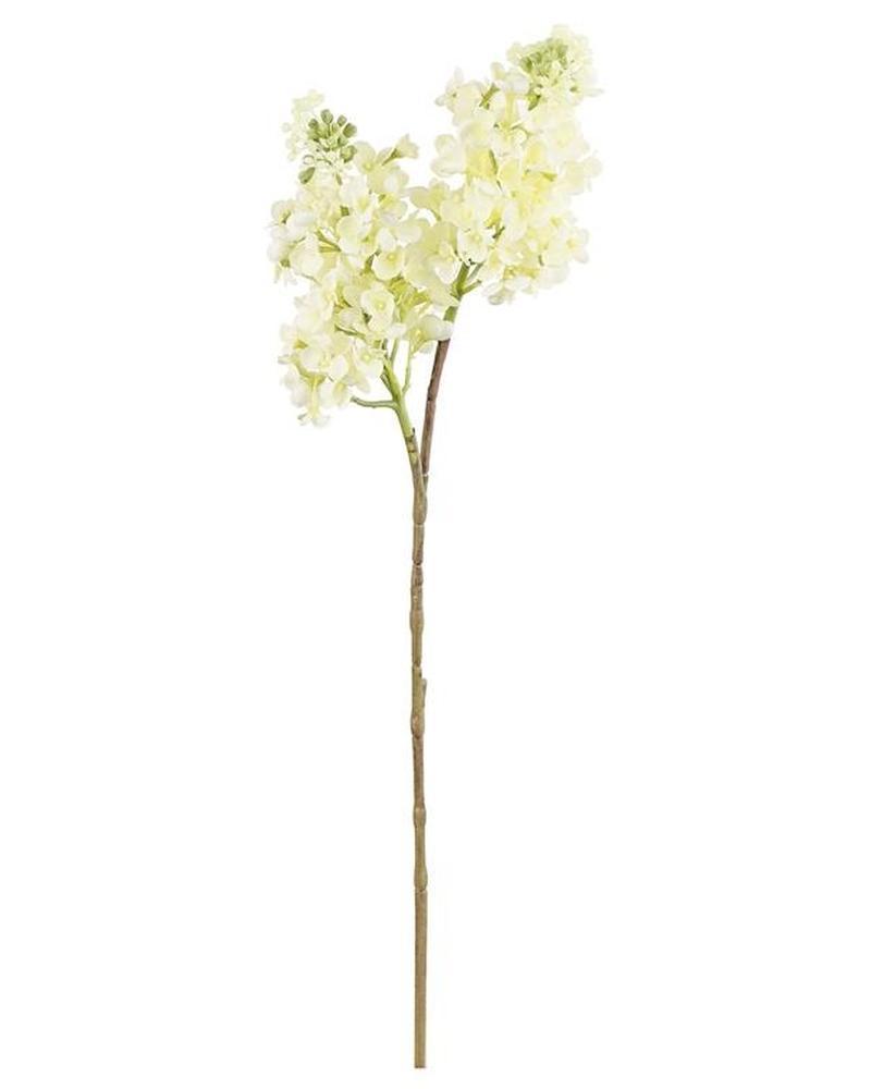 Lilac Spray X2 29" Cream/white