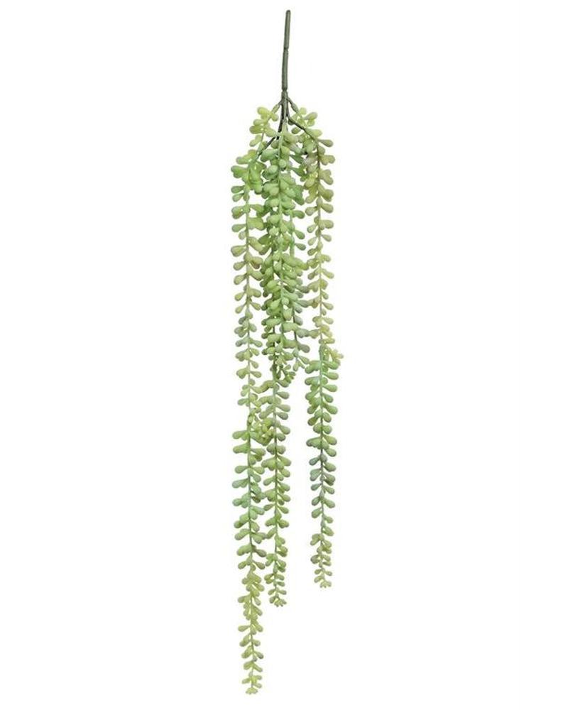 Jellybean Succulent 21" Gr/sg/pk