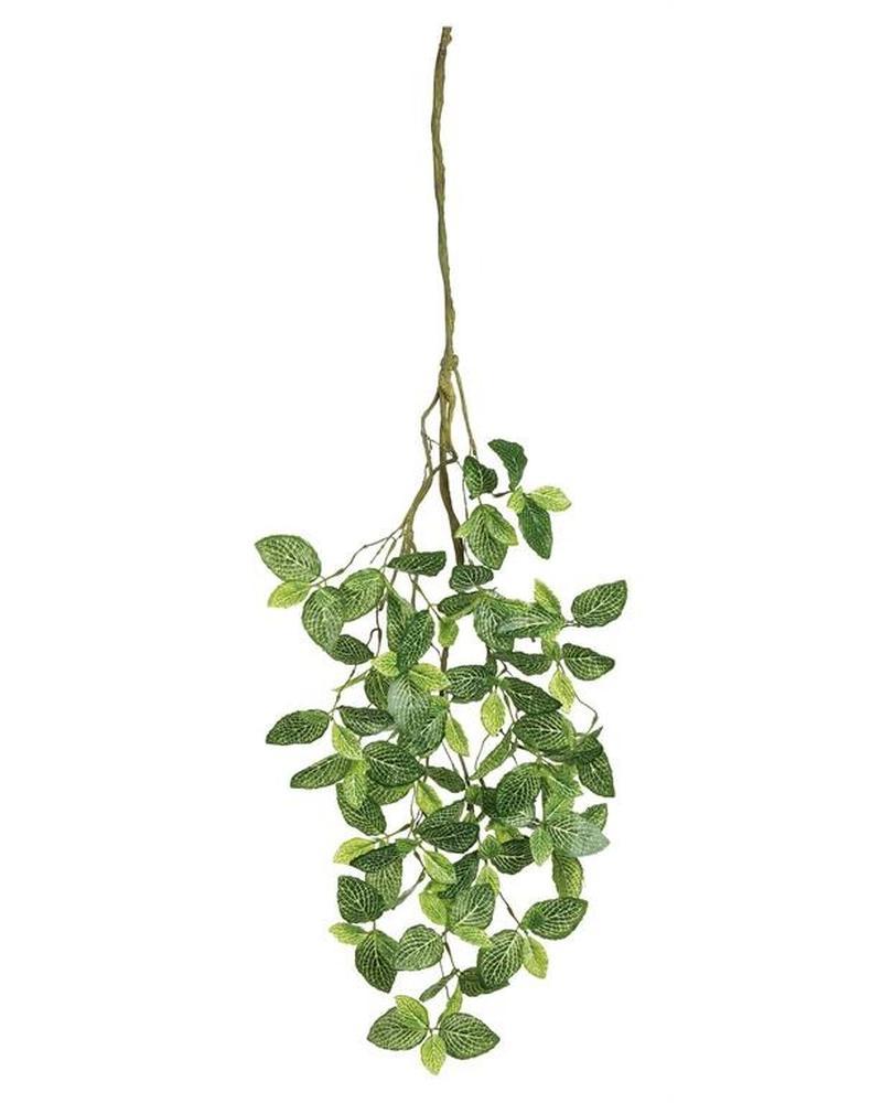 Fittonia Spray 37" Green/cream