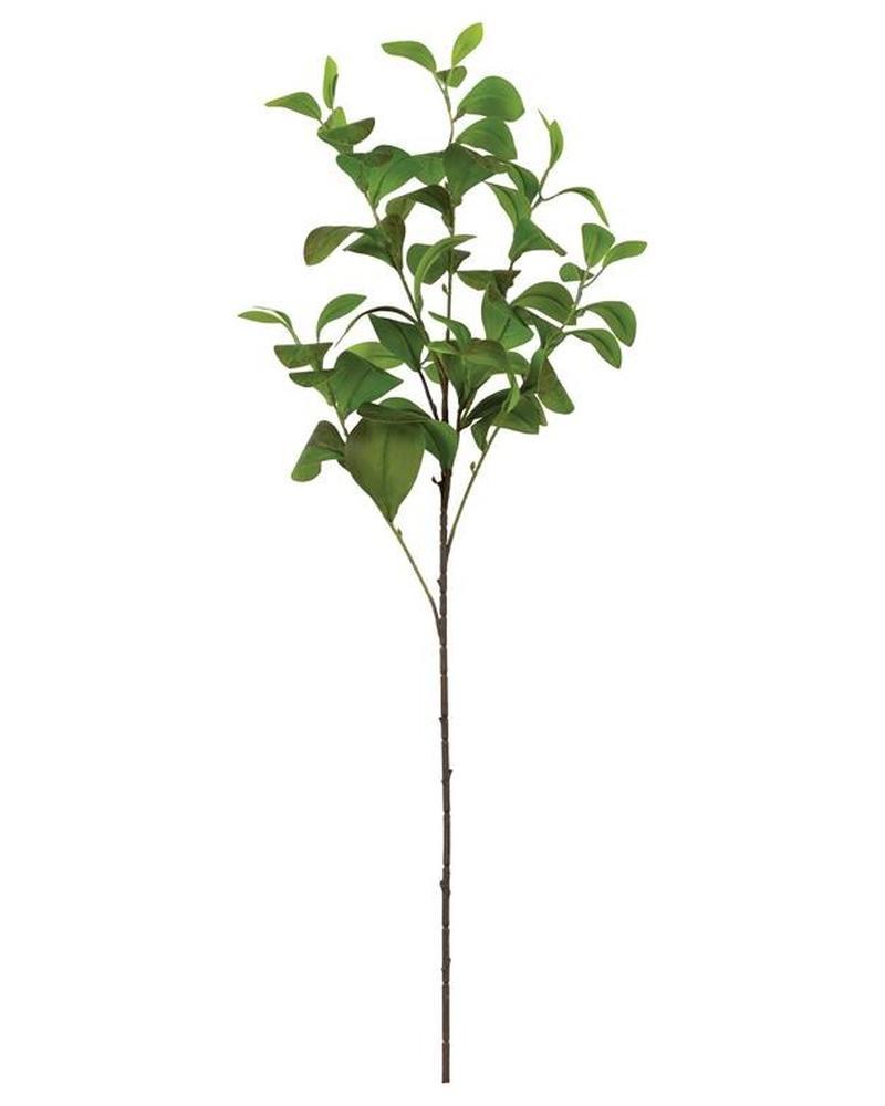 Paddle Leaf Spray 36" Green/burg