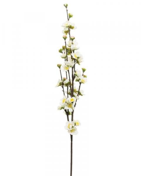 Peach Blossom 32" Cream