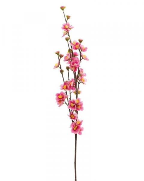 Peach Blossom 32" Magenta