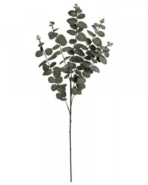 Eucalyptus Spray 41" Green