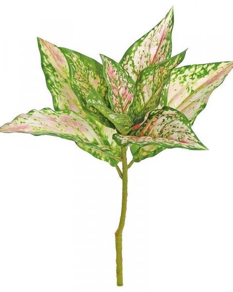 Evergreen Plant 16" Pink/green