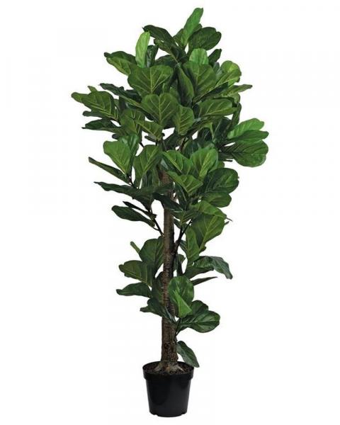 Fiddle Leaf Fig Tree 74" Green