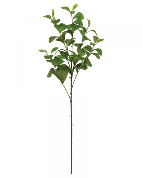 Paddle Leaf Spray 36" Green/burg