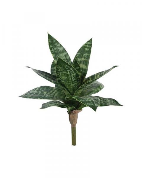 Snake Plant 10" Green/cream
