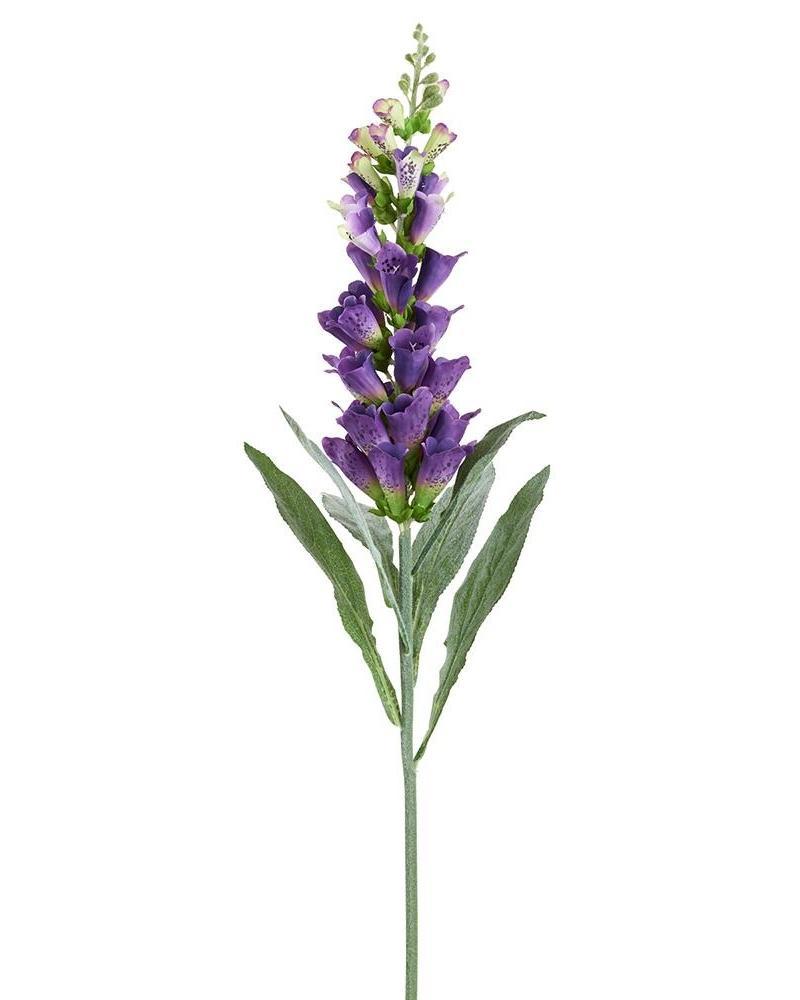 Foxglove Spray 36" Pu