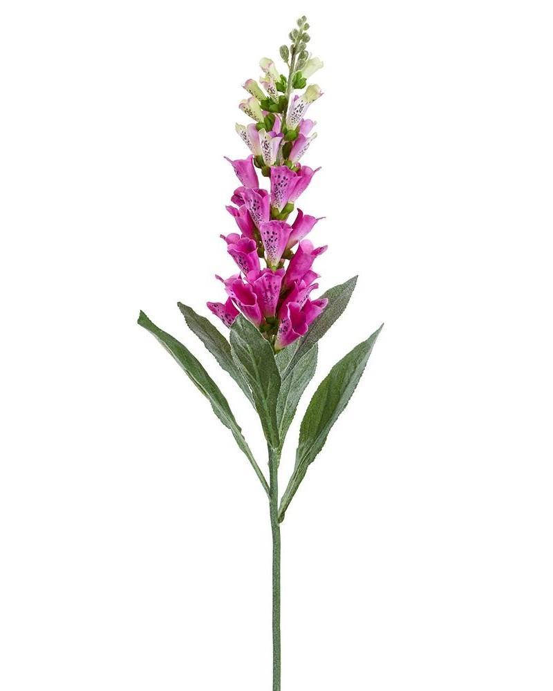 Foxglove Spray 36" Fu