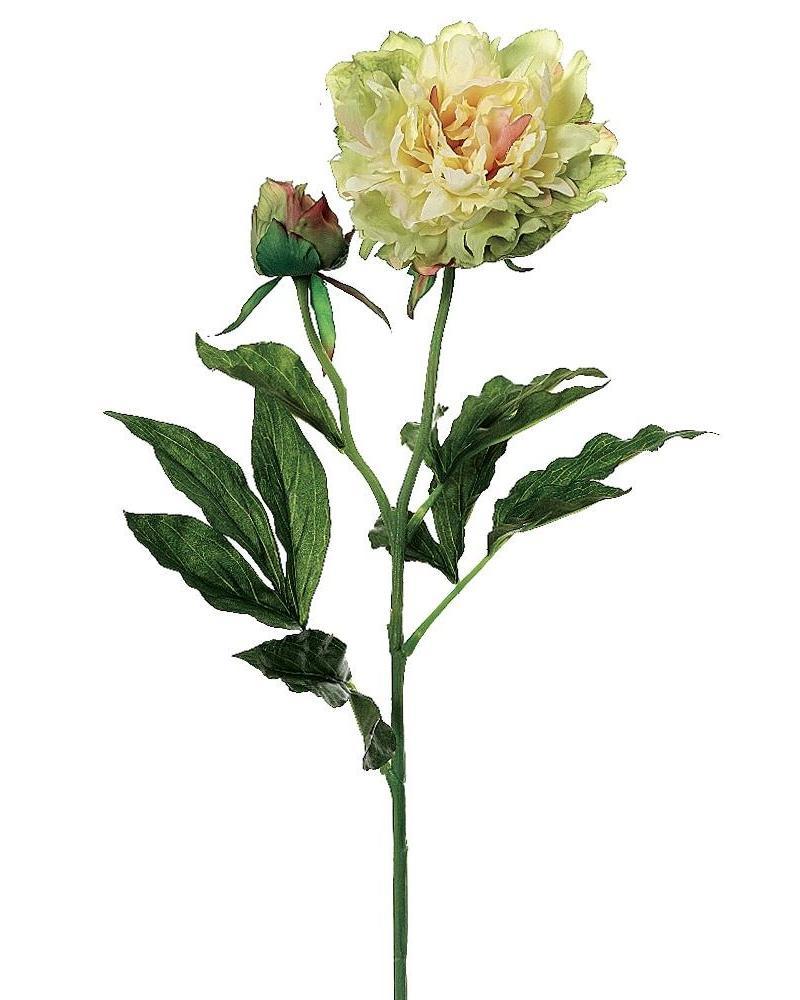 Peony Spray 28" Gr/tt