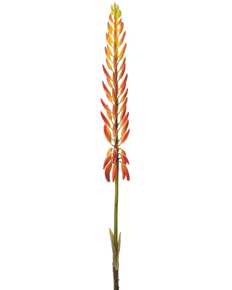 Agave Flower Spray 28" Or/tt