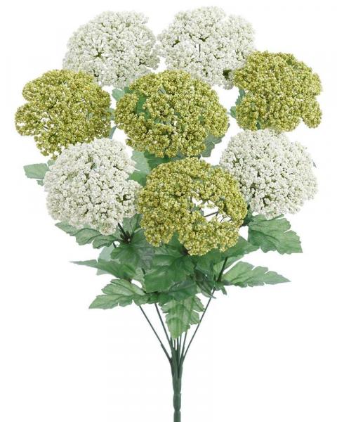 Queen Anne's Lace Bush 18" Gr/w