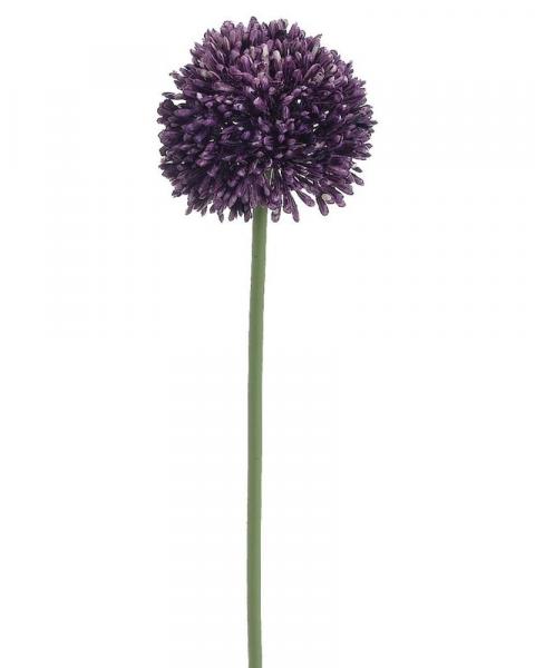 Allium Spray 17.5" Violet