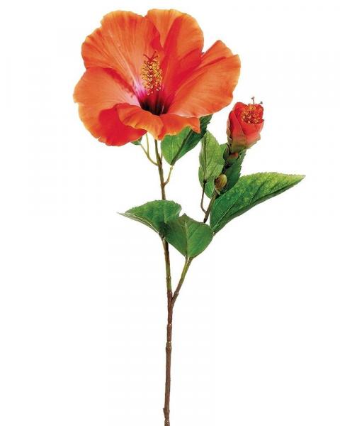 Hibiscus Spray 26" Pa/bt