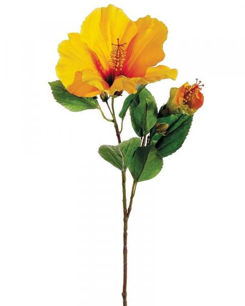 Hibiscus Spray 26" Ye/or