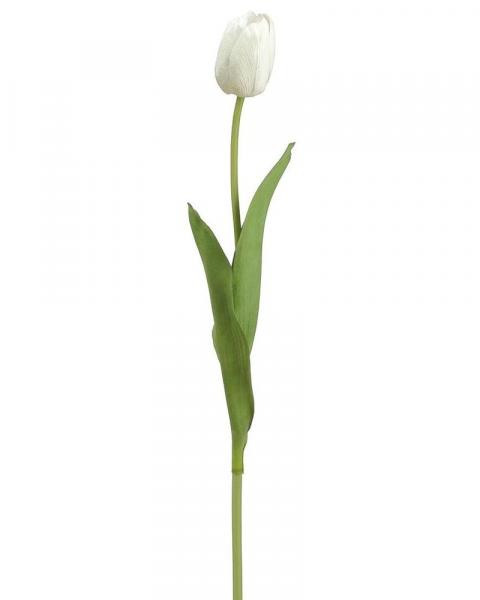 Tulip Spray 26" Cr