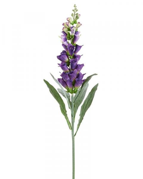 Foxglove Spray 36" Pu